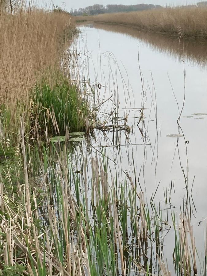 Vakantiehuis 't Laaisterplakky zonder drempels Villa Oude Bildtzijl Buitenkant foto