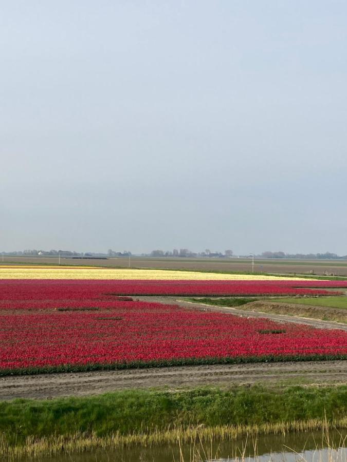 Vakantiehuis 't Laaisterplakky zonder drempels Villa Oude Bildtzijl Buitenkant foto