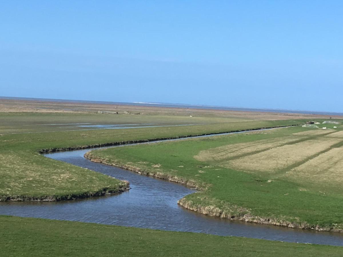 Vakantiehuis 't Laaisterplakky zonder drempels Oude Bildtzijl Buitenkant foto