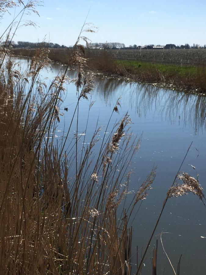 Vakantiehuis 't Laaisterplakky zonder drempels Villa Oude Bildtzijl Buitenkant foto